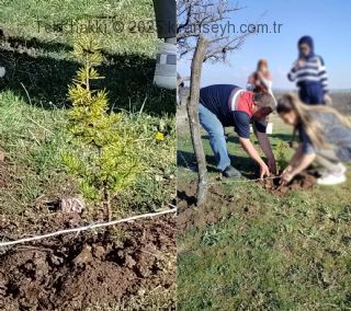 Yukarköy mezarlığı temizlenerek ağaçlandırıldı