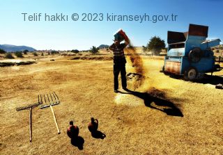 Kıranşeyh köyü ekonomisi