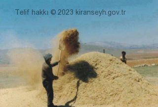 Kıranşeyh köyü ekonomisi