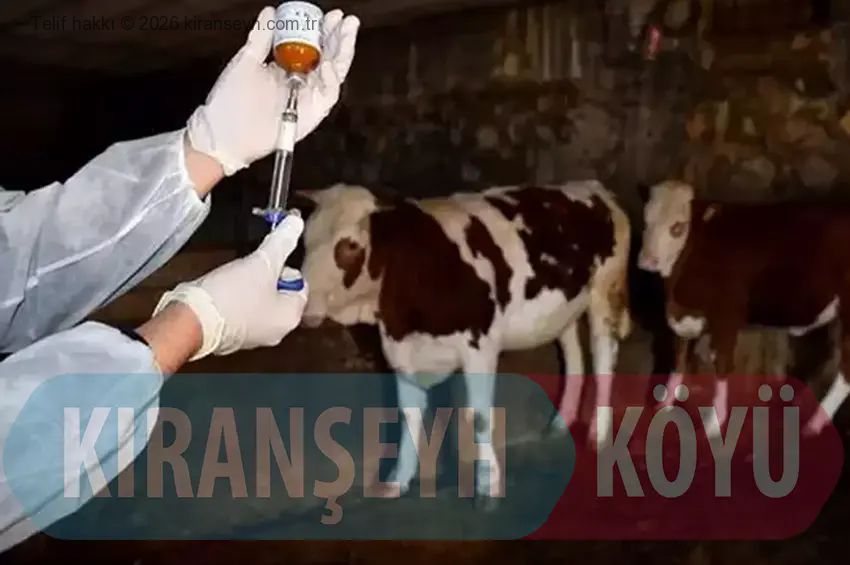 Kütahya'da alarm: 15 köy karantinaya alındı!